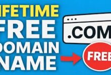 Zone.ID Explained: Free Subdomains That Work with Google AdSense